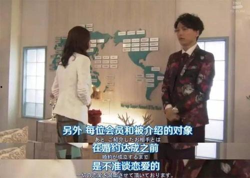 相亲恐惧症爆料视频大全,视频大全带你了解单身族的内心挣扎